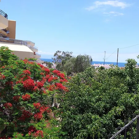 Appartamento Ocean Park Ii *